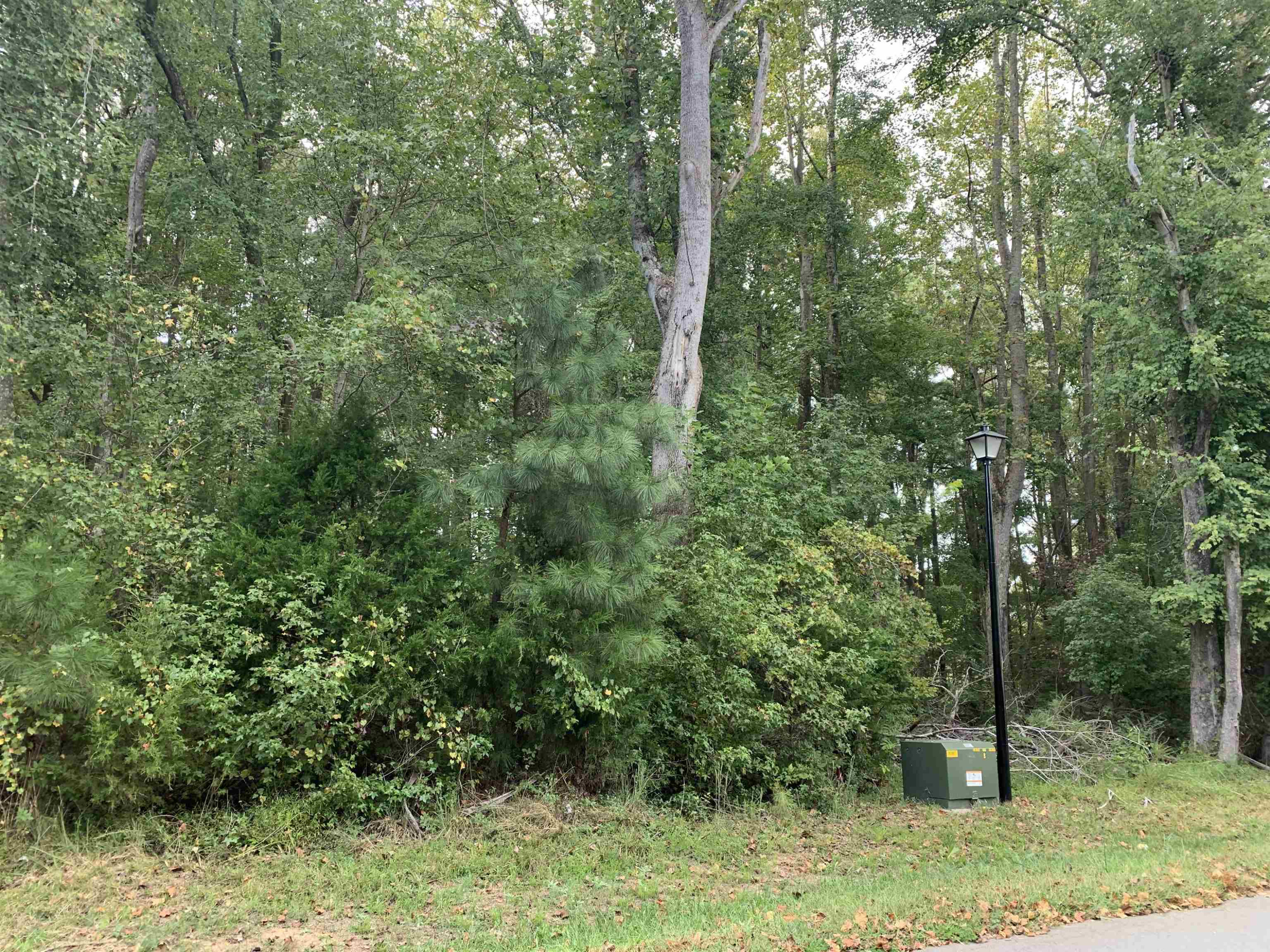 4551 Ashley View Lane Property Photo 1