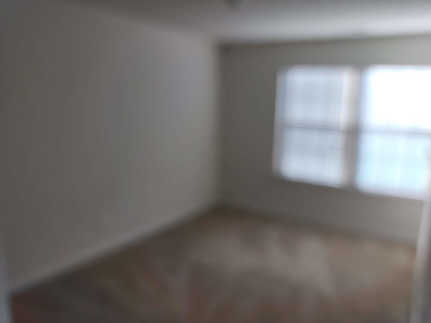1728 Shady Oaks Drive Property Photo 20