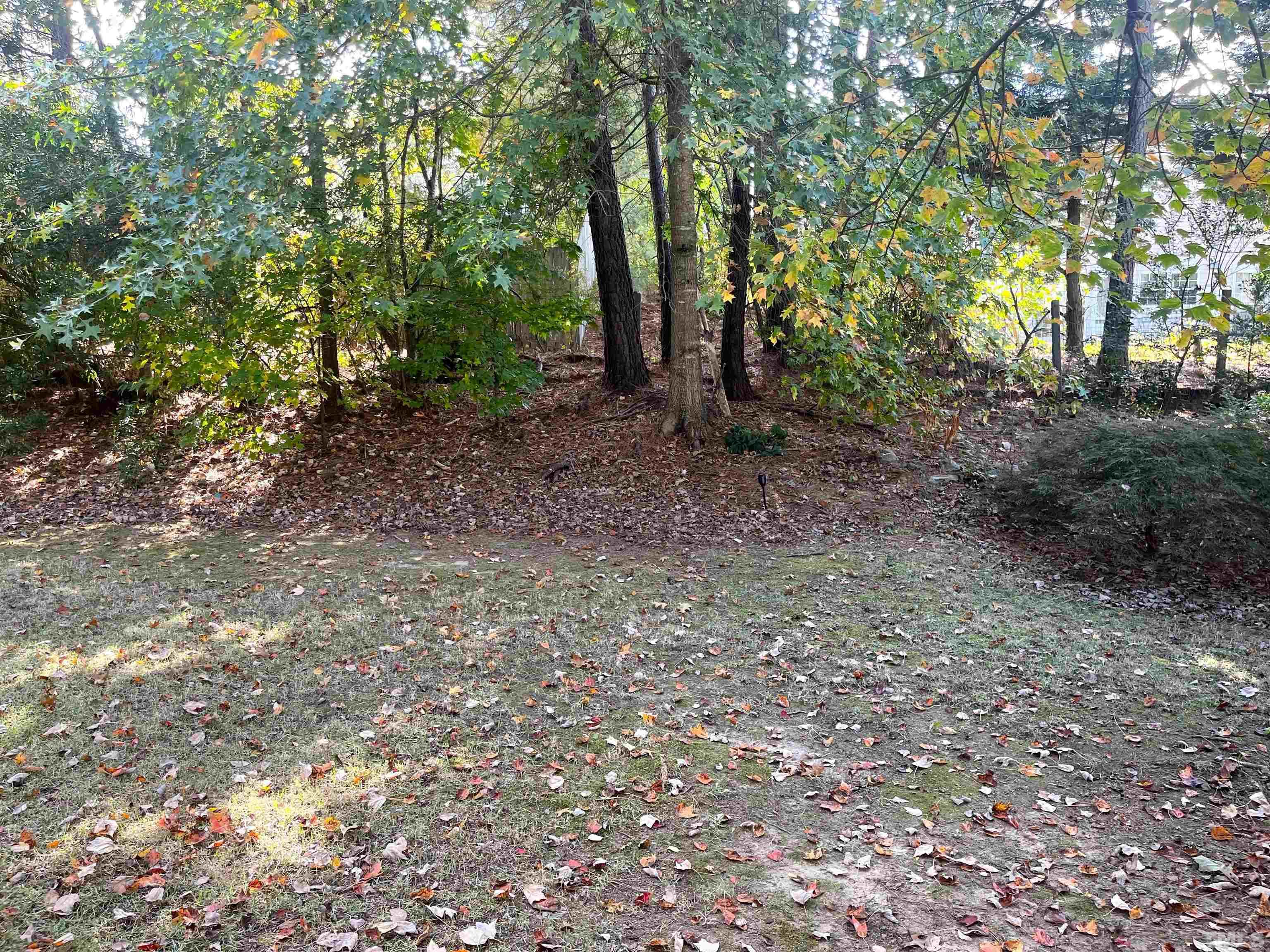 206 Caristonia Way Property Photo 33