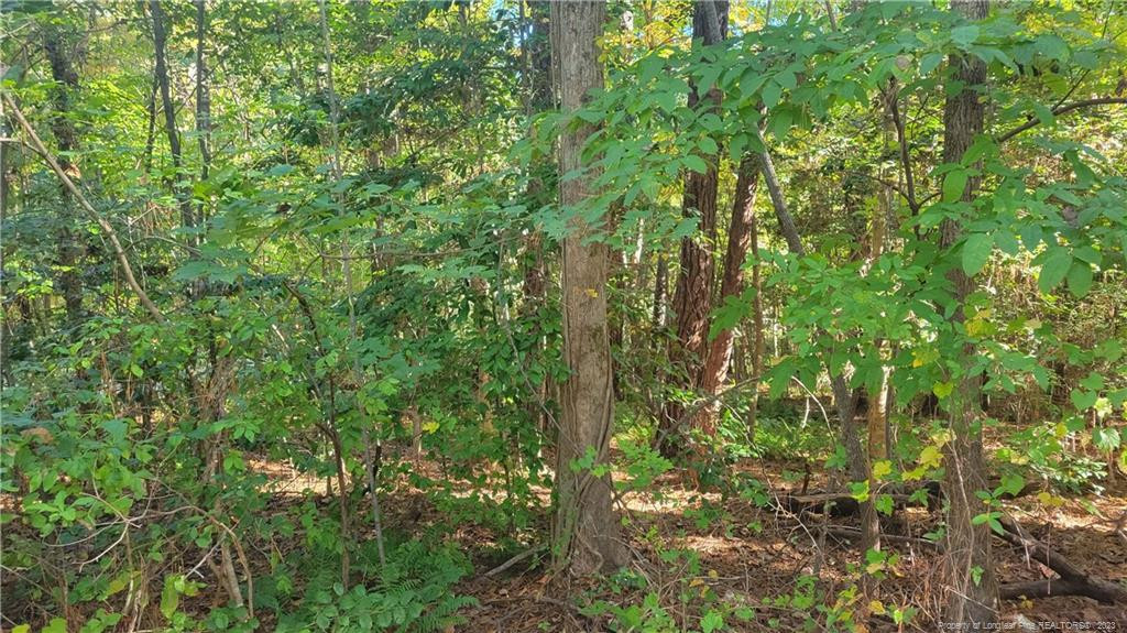 3201 Argyll Drive Property Photo 1