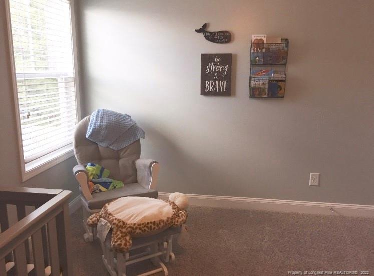 466 Stonebriar Avenue Property Photo 4