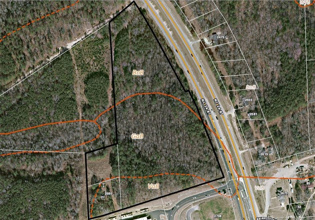 Nc 24-87 Highway Property Photo 5