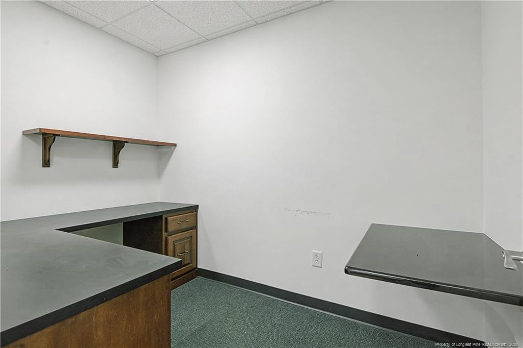 127 Hay Street Property Photo 17