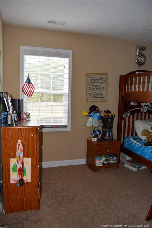 4813 Cedar Pass Drive Property Photo 8