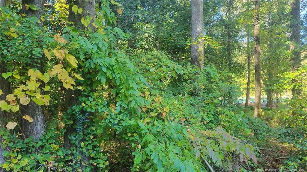 636 Angus Court Property Photo 1