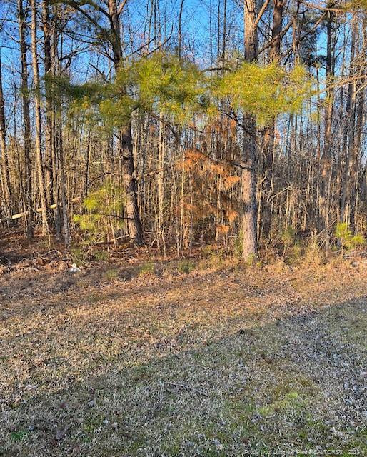 2727 Wire Road Property Photo 3