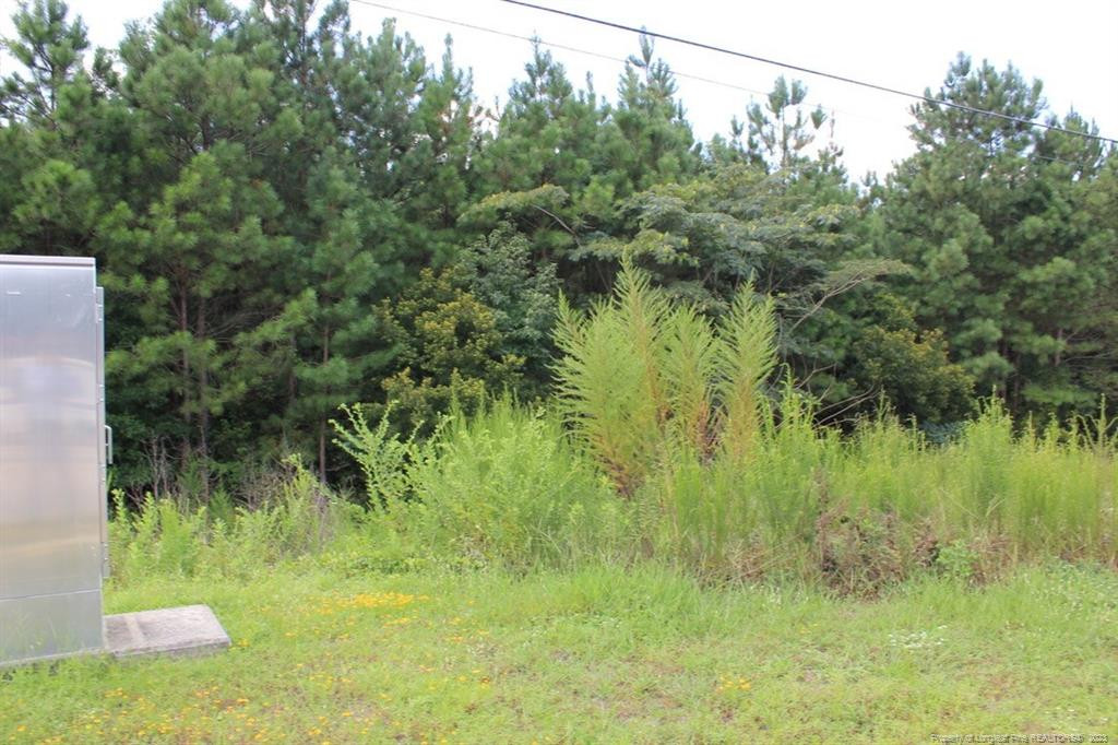 5242 Fisher Road Property Photo 7
