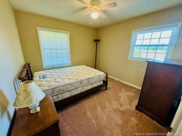 434 Windsor Road Property Photo 29