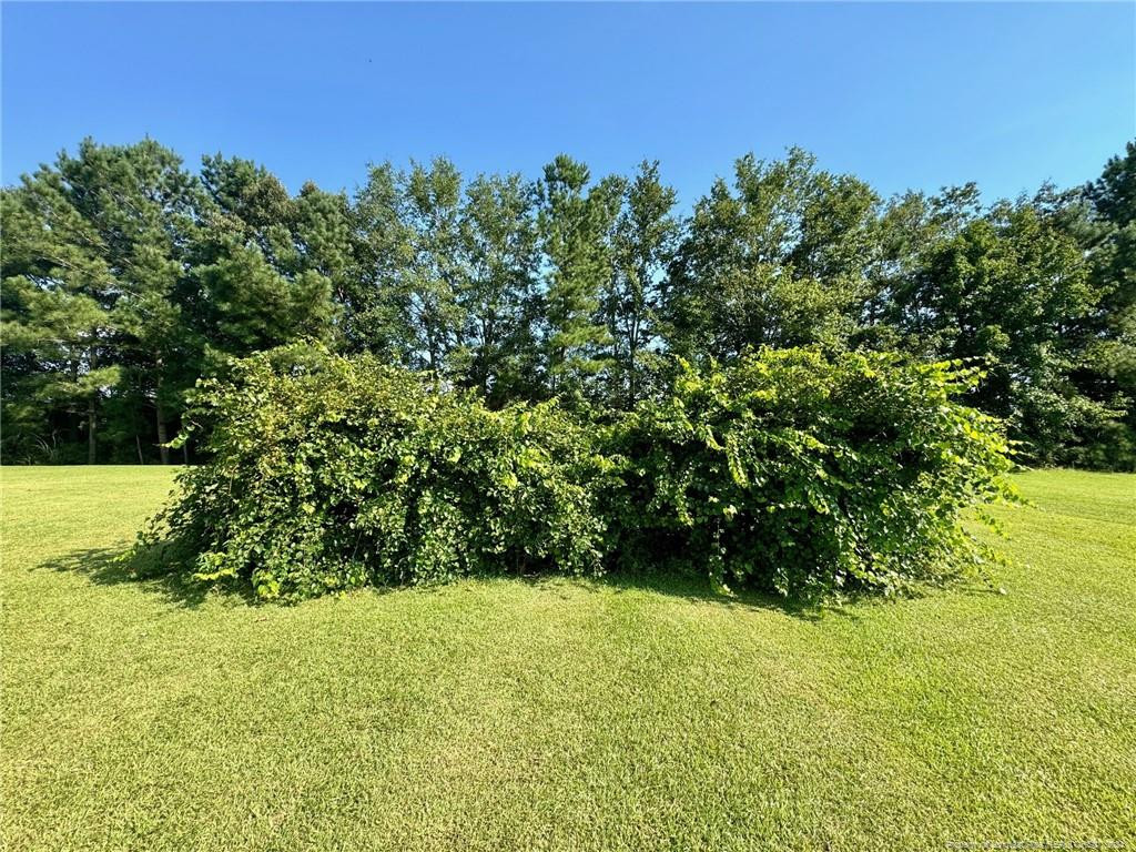 243 Trace Lane Property Photo 45