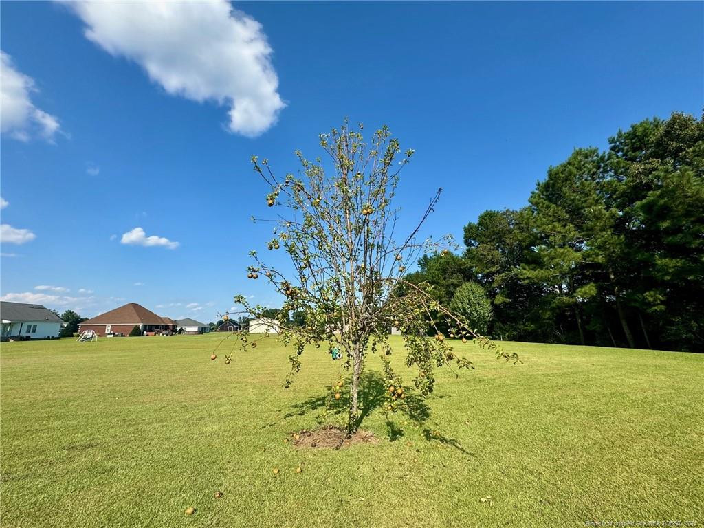 243 Trace Lane Property Photo 46
