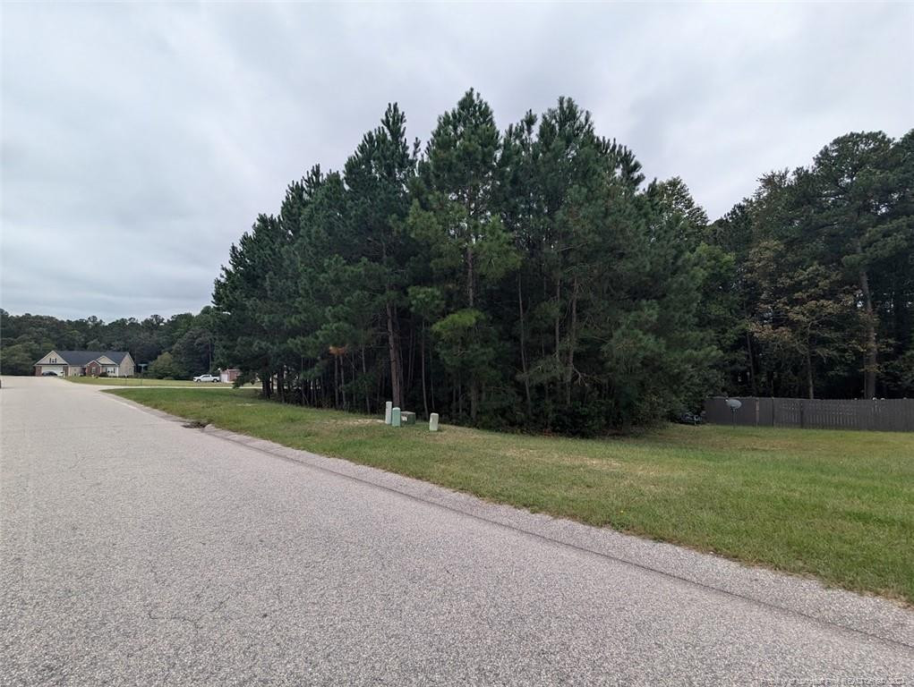 Tbd 282 Falling Leaf Drive Property Photo 1