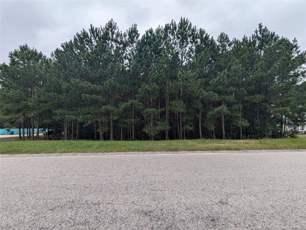 Tbd 282 Falling Leaf Drive Property Photo 2