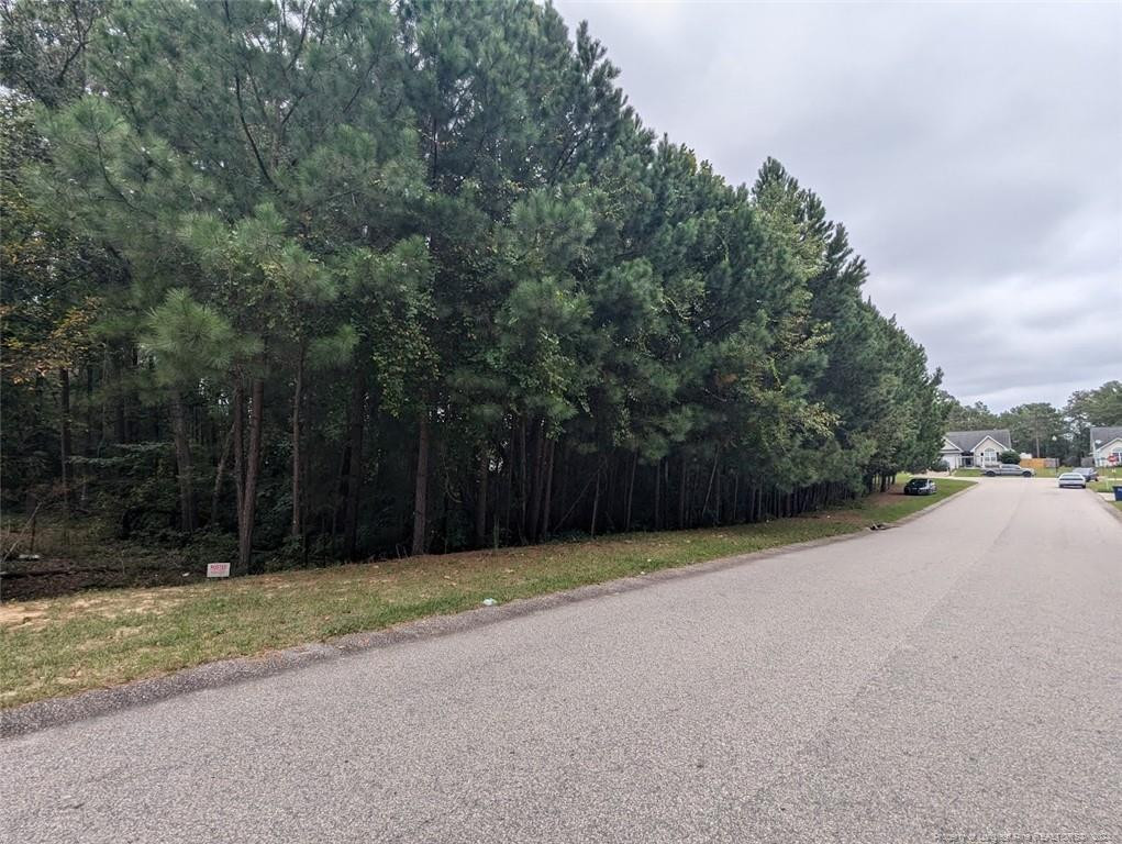 Tbd 282 Falling Leaf Drive Property Photo 4