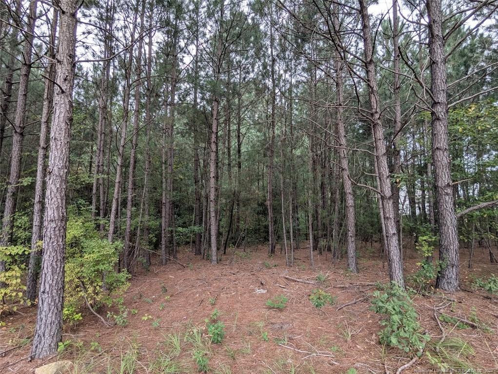 Tbd 282 Falling Leaf Drive Property Photo 5