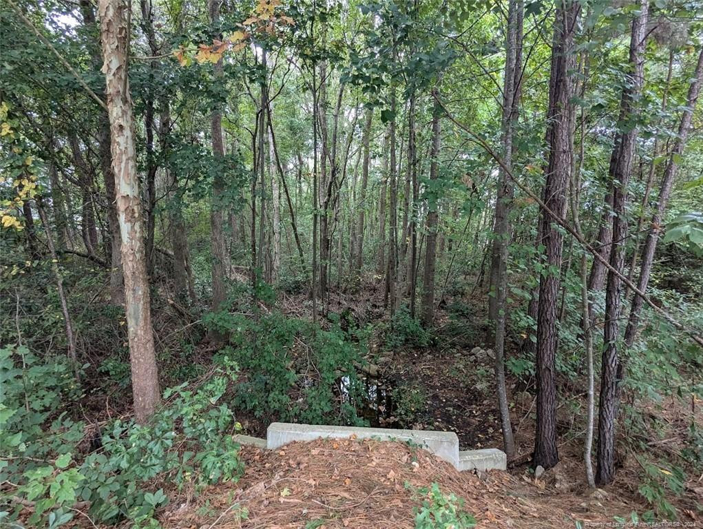 Tbd 282 Falling Leaf Drive Property Photo 6