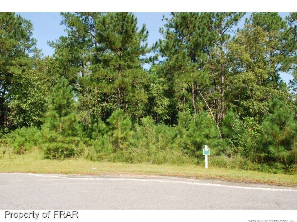 222 Broadlake (639) Lane Property Photo 2