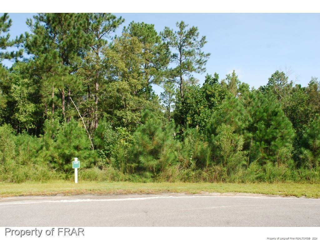 222 Broadlake (639) Lane Property Photo 3