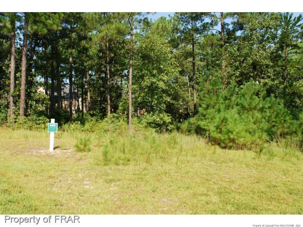 232 Broadlake (640) Lane Property Photo 2