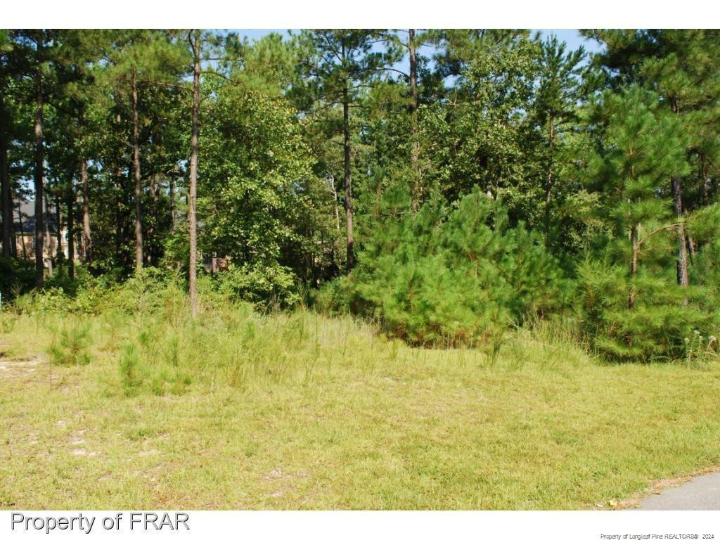 232 Broadlake (640) Lane Property Photo 3