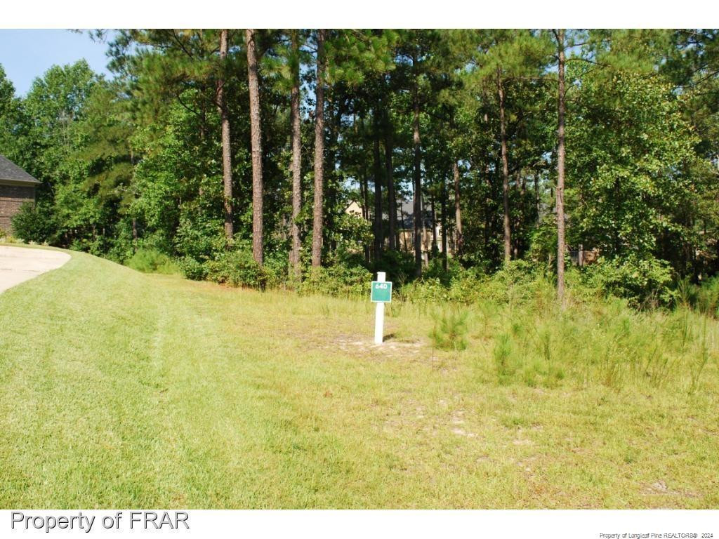 232 Broadlake (640) Lane Property Photo 4
