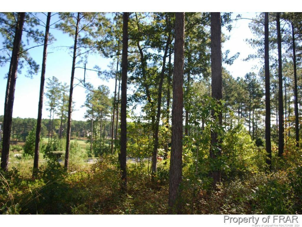 45 Broadlake (479) Lane Property Photo 6