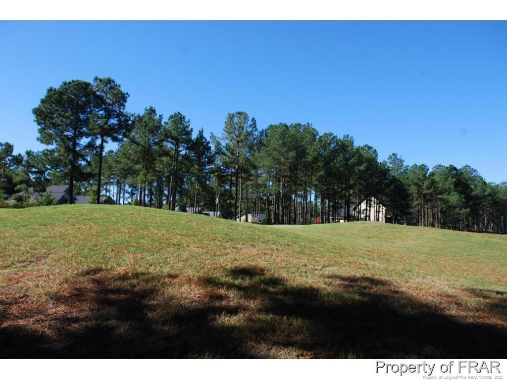 45 Broadlake (479) Lane Property Photo 12