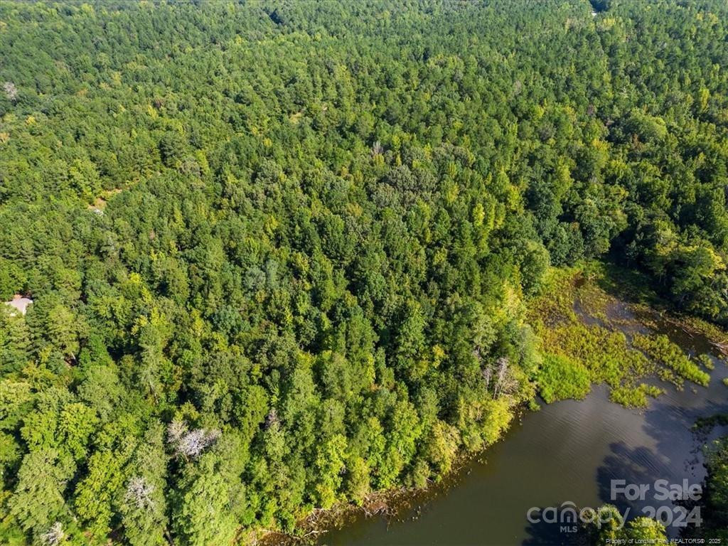 Lot 53 N State Lane Property Photo 4