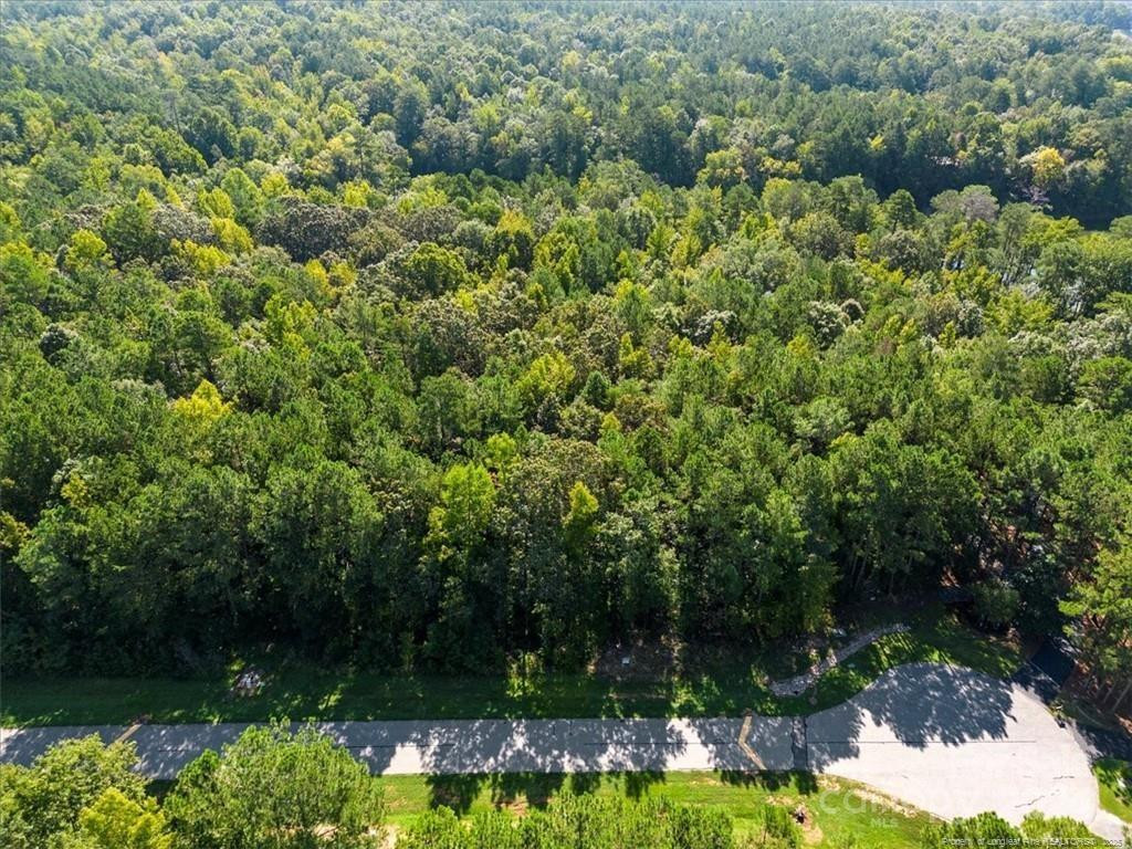 Lot 53 N State Lane Property Photo 7