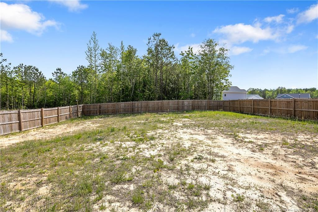 446 Placid Pond Drive Property Photo 15