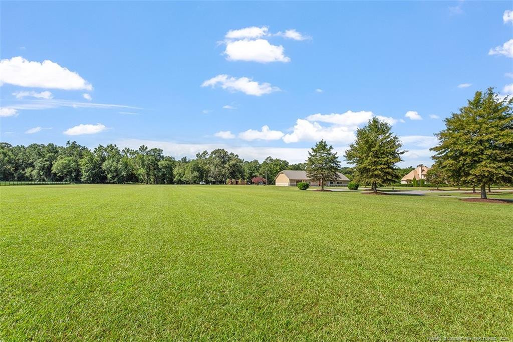 4909 Deep Branch Road Property Photo 47