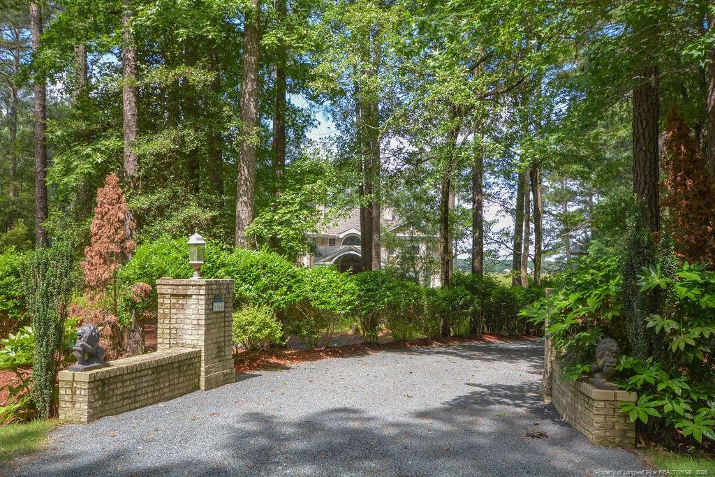 1064 Tresses Court Property Photo 2