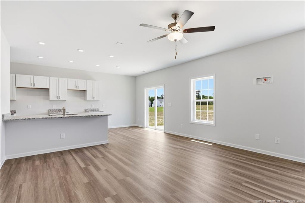 441 Black Duck (lot 101) Lane Property Photo 9