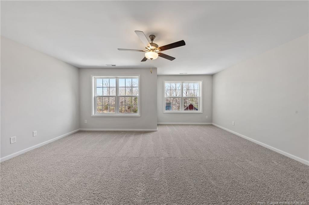 441 Black Duck (lot 101) Lane Property Photo 22