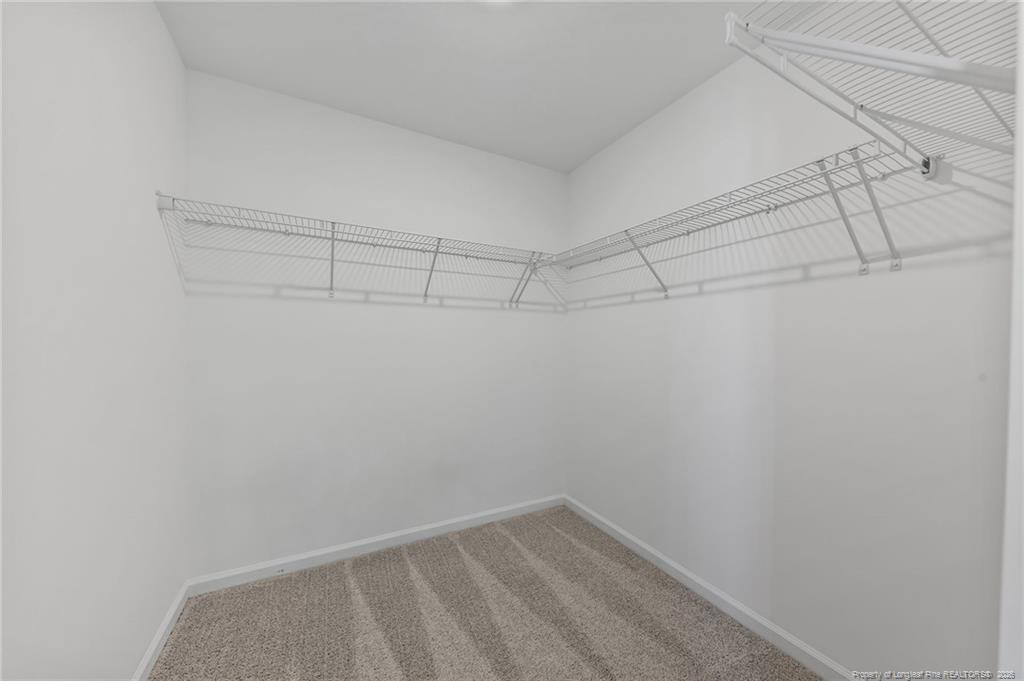 441 Black Duck (lot 101) Lane Property Photo 26
