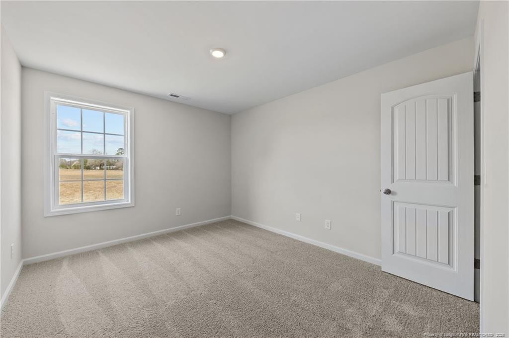 441 Black Duck (lot 101) Lane Property Photo 32