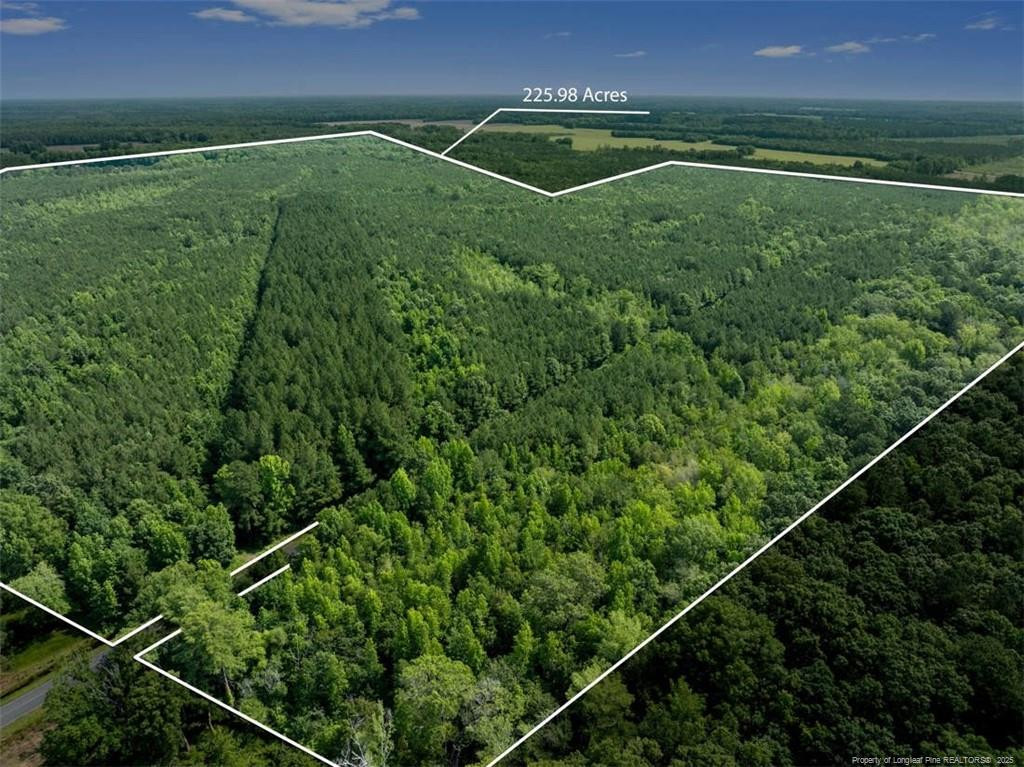 Tbd Rich Walker Road Property Photo 1
