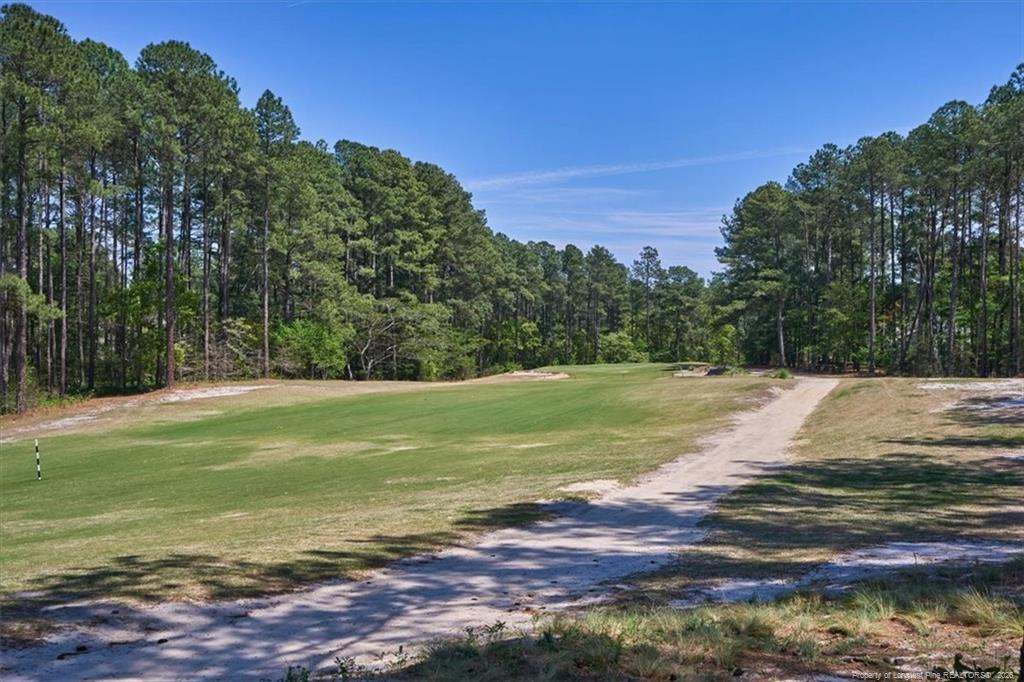 30121 Deercroft Drive Property Photo 39