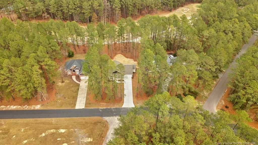 30121 Deercroft Drive Property Photo 40