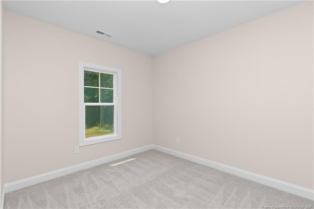178 Surles Landing Way Property Photo 12