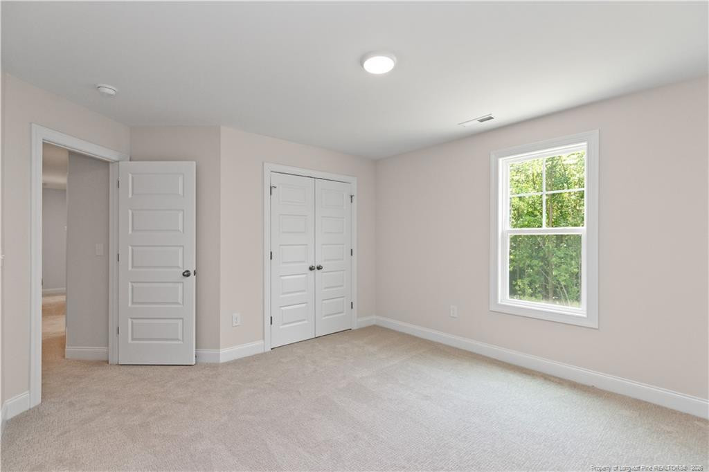 178 Surles Landing Way Property Photo 21