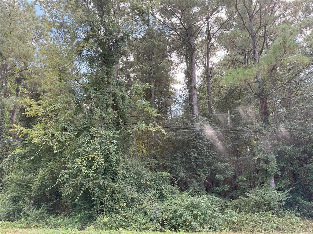 Lot 2 E Williams Street Property Photo 1