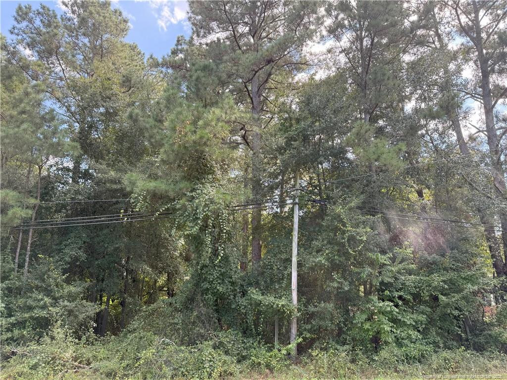 Lot 3 E Williams Street Property Photo 1