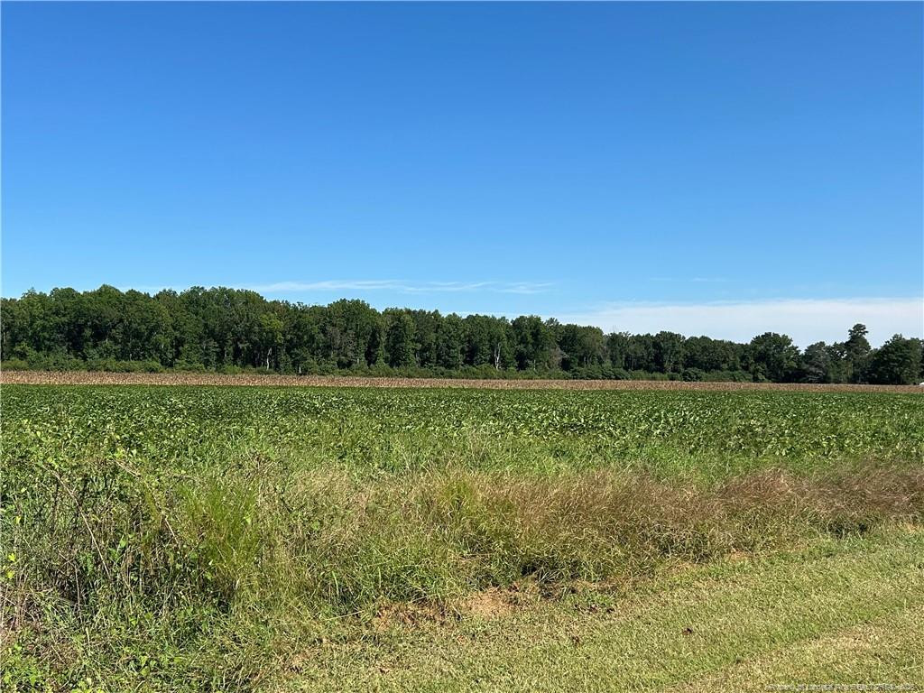 Mcquage Road Property Photo 7