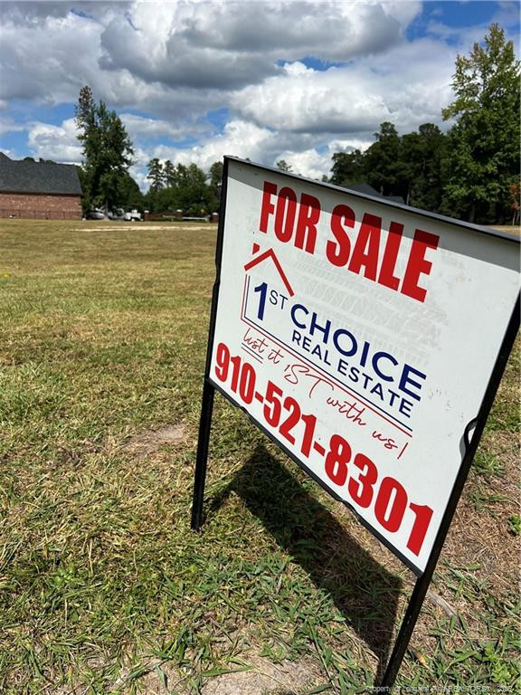 Wesley Pines Road Property Photo 1
