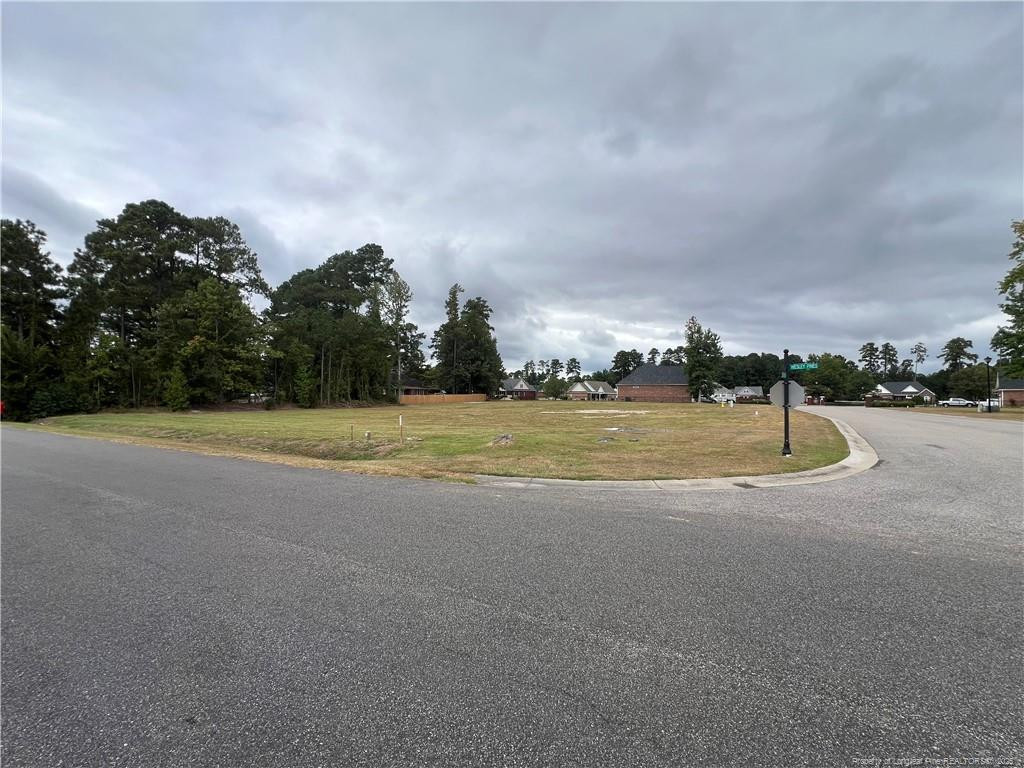 Wesley Pines Road Property Photo 2