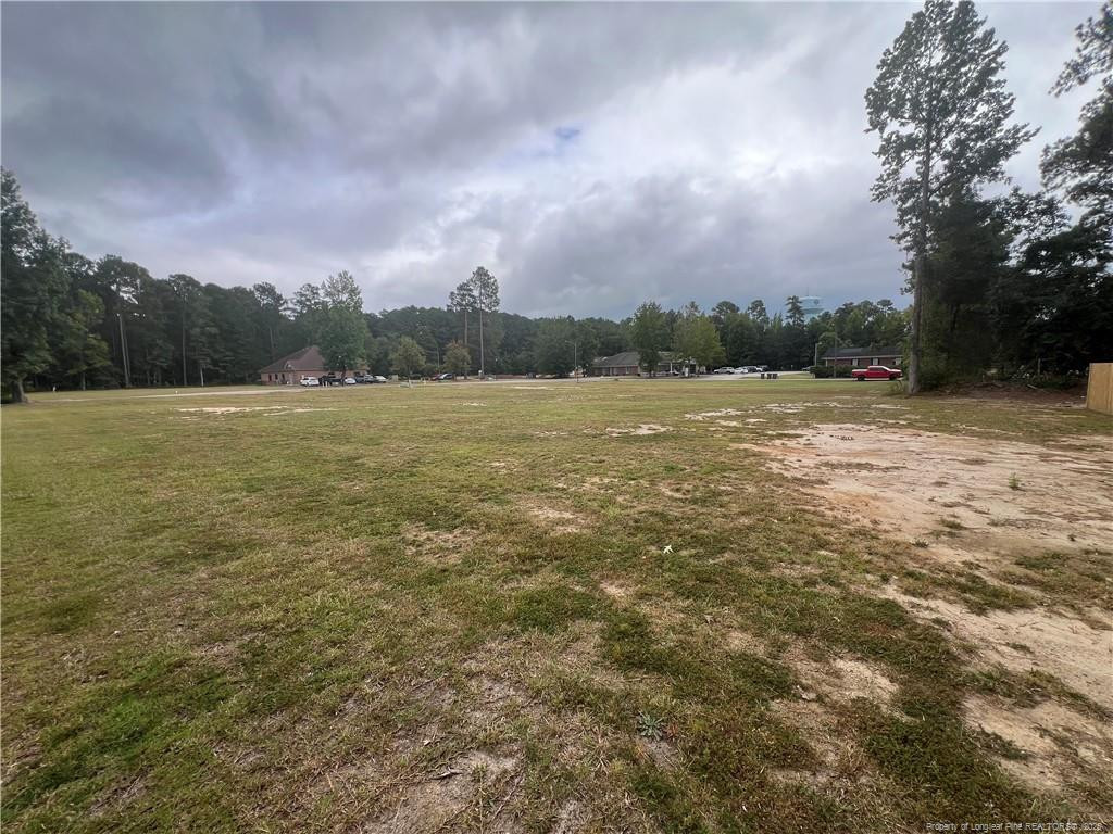 Wesley Pines Road Property Photo 3