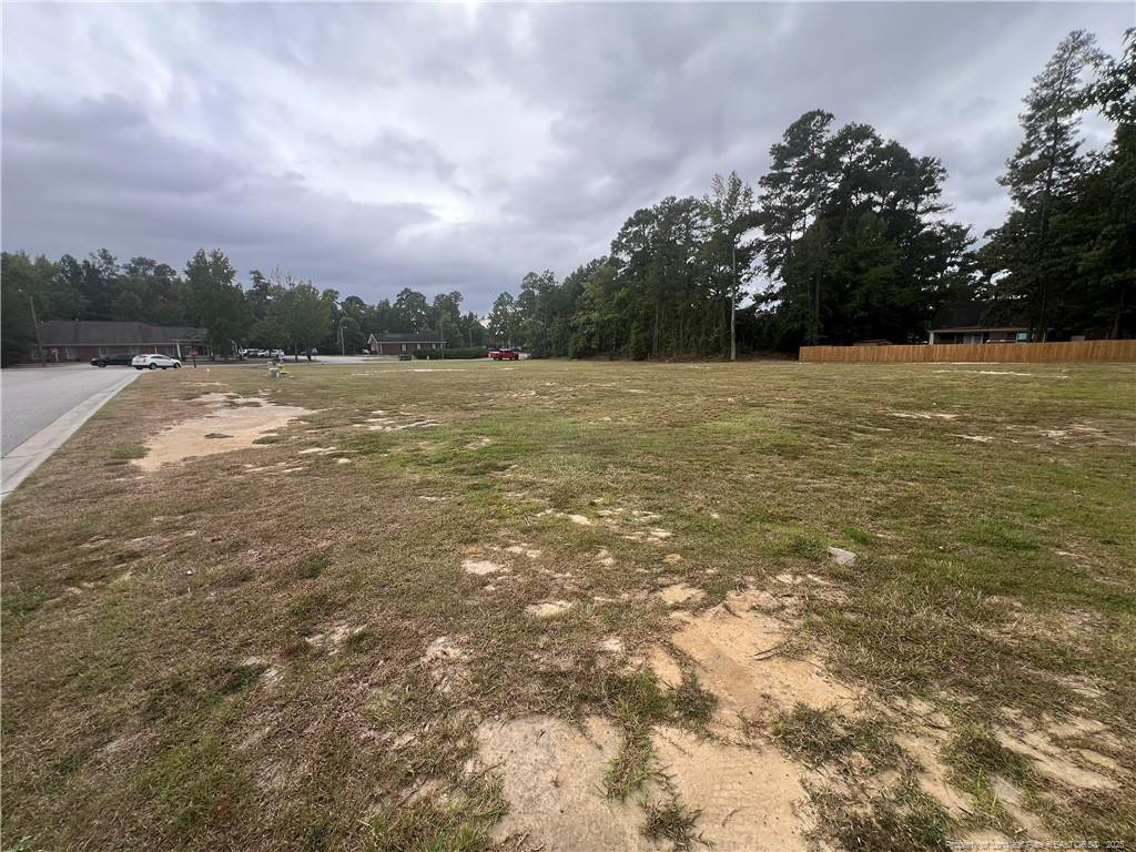 Wesley Pines Road Property Photo 4
