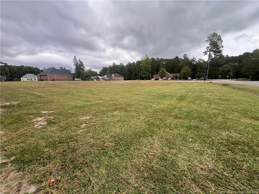 Wesley Pines Road Property Photo 5