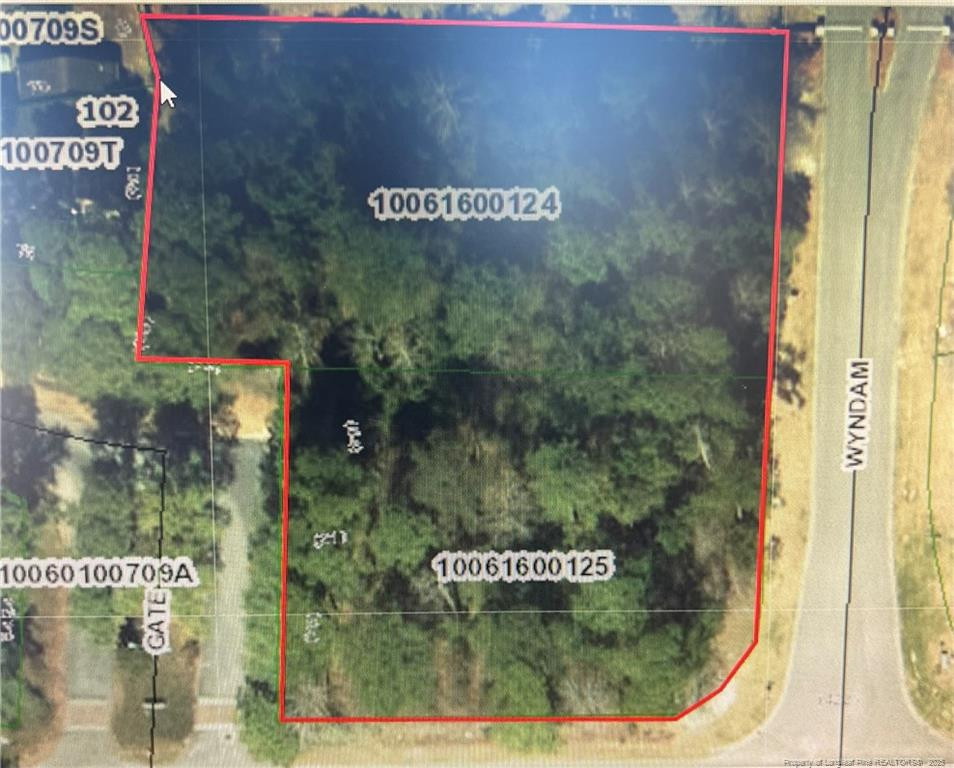 Wesley Pines Road Property Photo 7