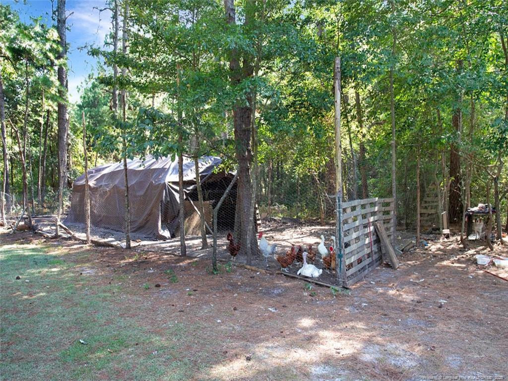 6456 Cedar Creek Road Property Photo 22